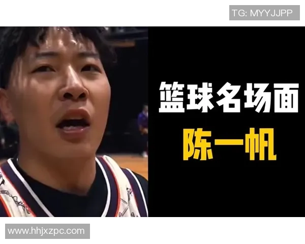 赵强专访：回顾篮球历程